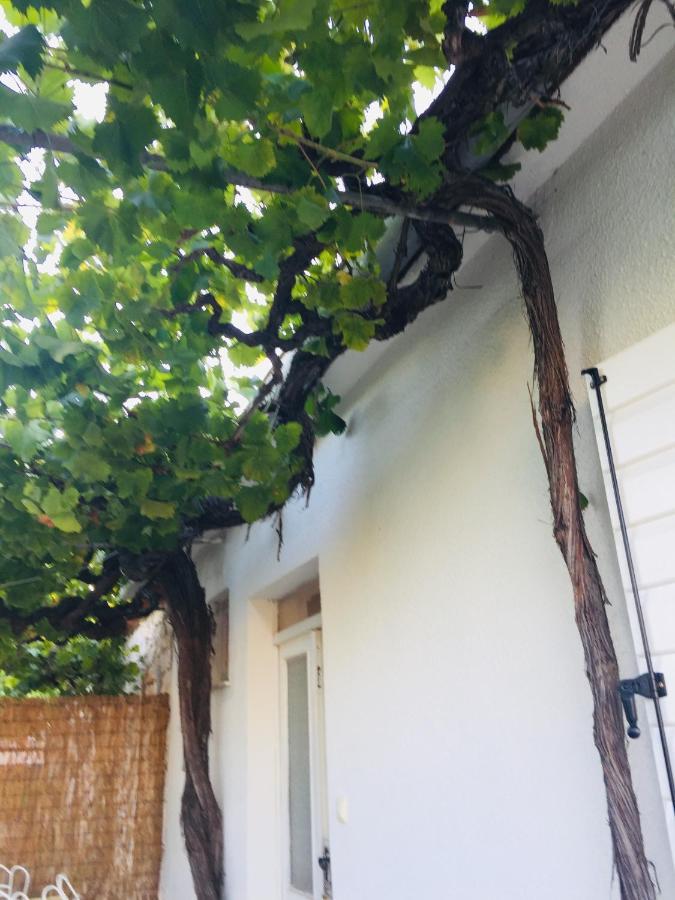 Holiday Home Casa Bianca Sukošan Dış mekan fotoğraf